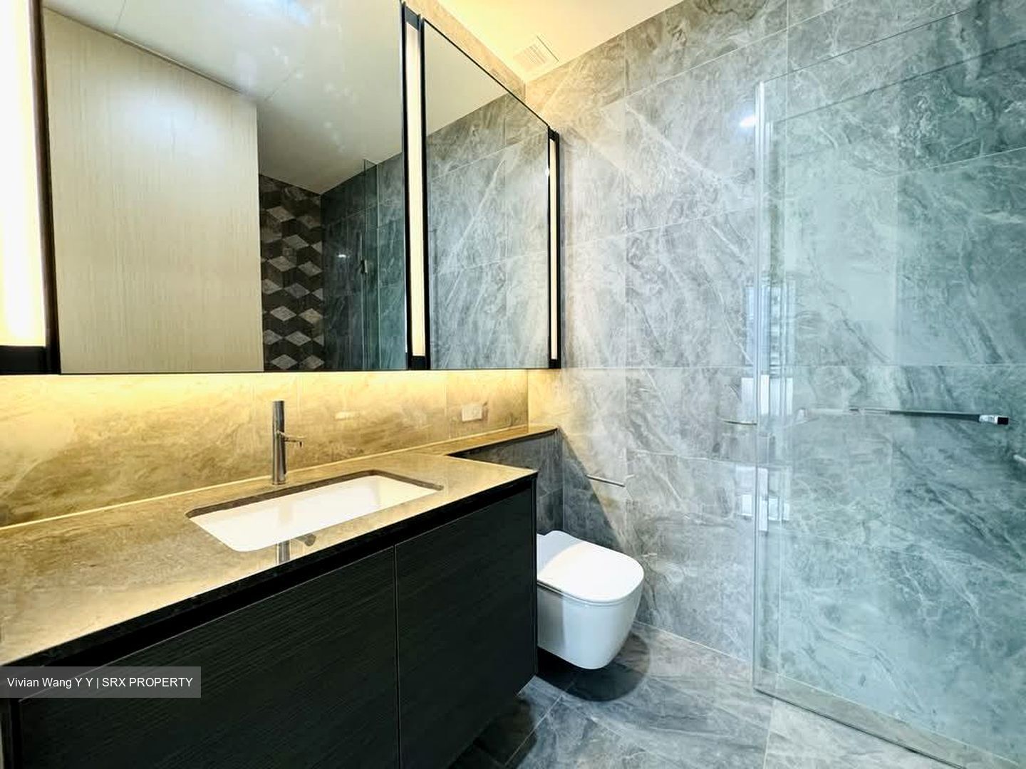Leedon Green (D10), Condominium #560352211